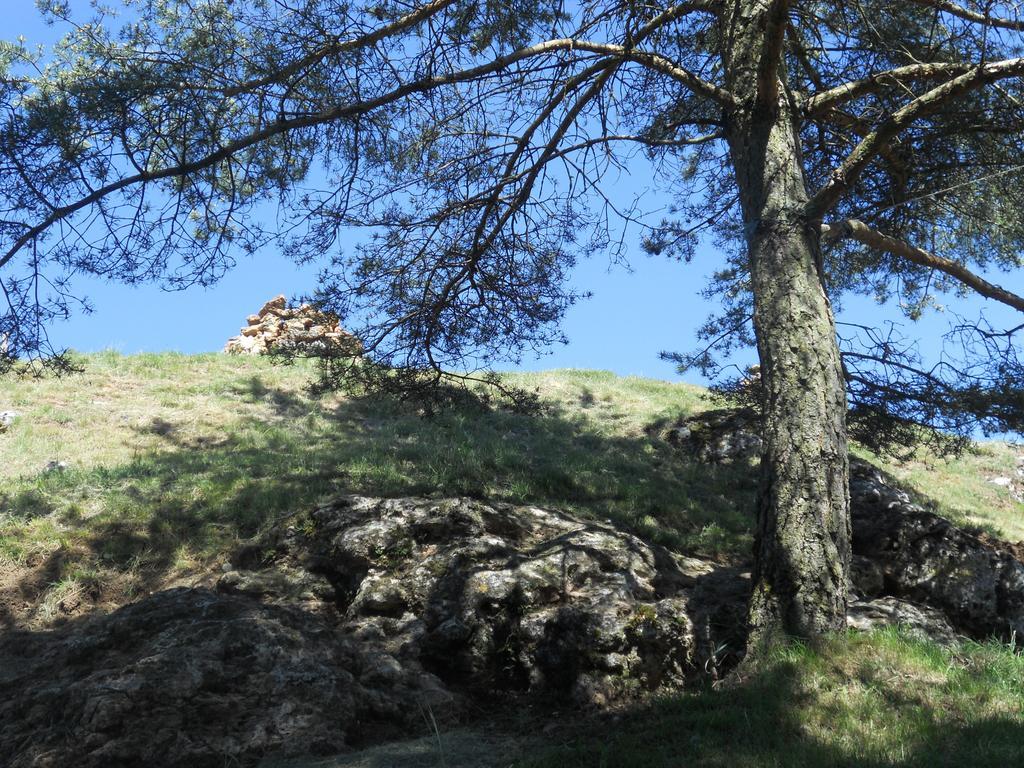 Chez Louis Chambres D'Hotes A La Ferme La Canourgue Zewnętrze zdjęcie